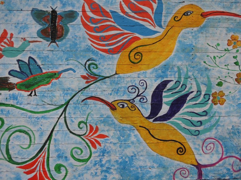 Kolibris auf Holzpalette